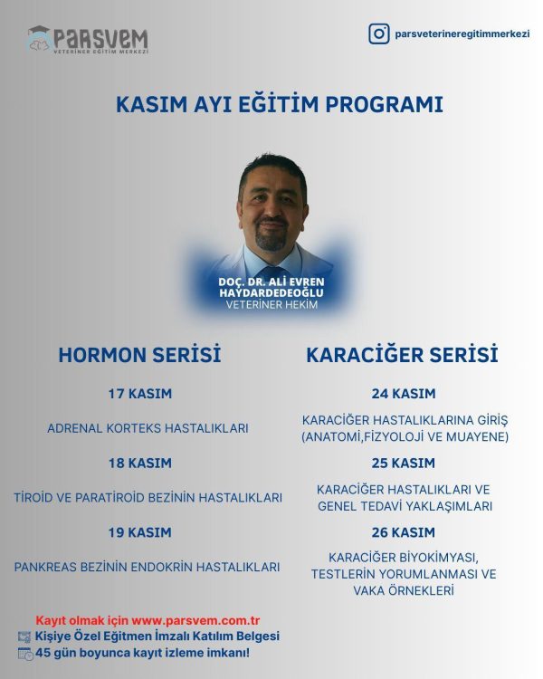 WhatsApp-Image-2025-10-27-at-11.13.01-600x750